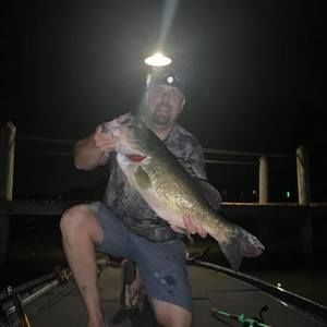 Meet your Posher, Stuart